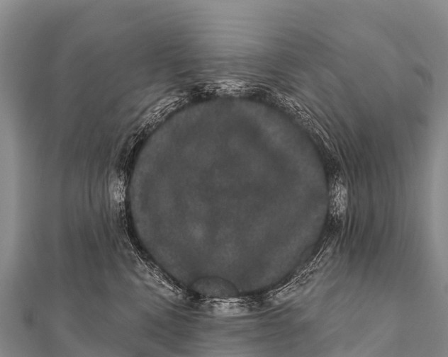 X0000112000472200908241437