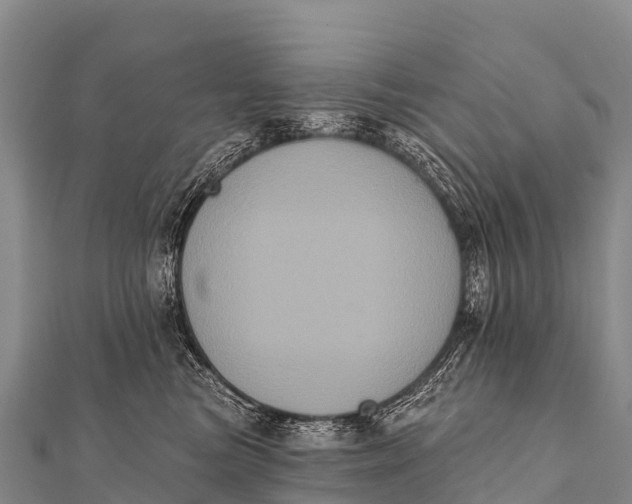 X0000112000473200908241437