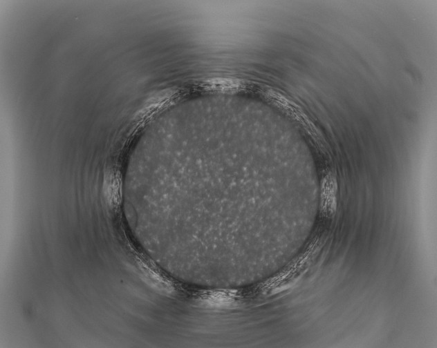 X0000112000474200908241437