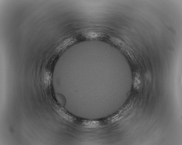 X0000112000476200908241437