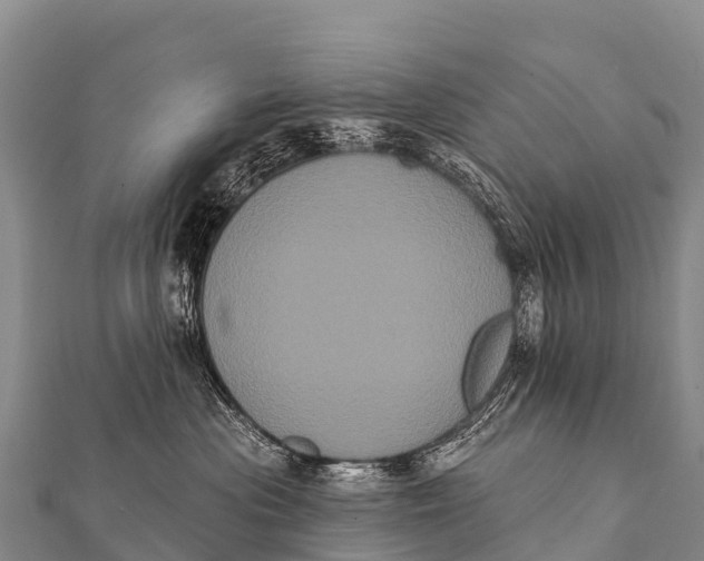 X0000112000477200908241437