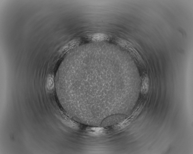 X0000112000478200908241437