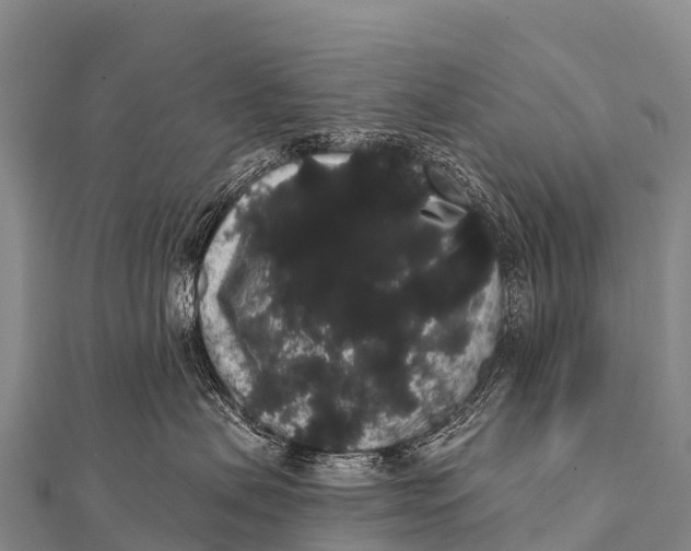 X0000112000479200908241437