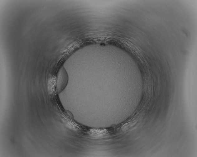 X0000112000480200908241437