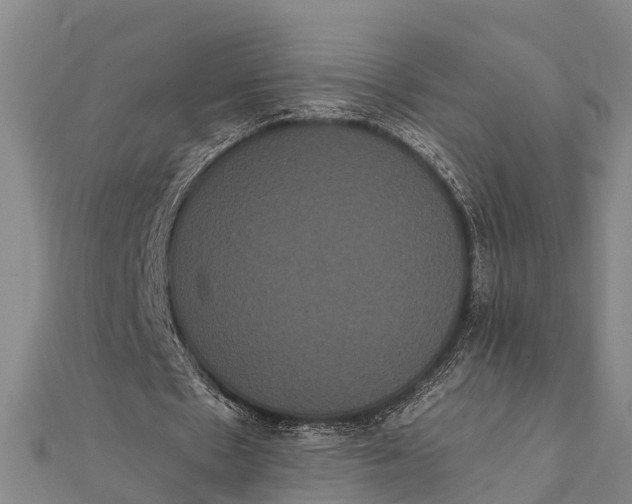 X0000112000481200908241436