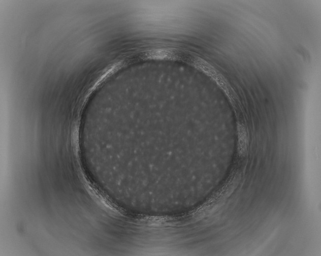 X0000112000482200908241436