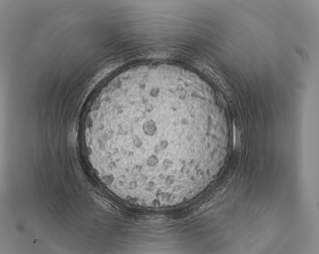 X0000112000483200908241436