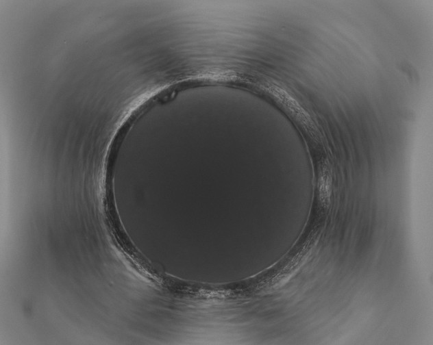 X0000112000484200908241436