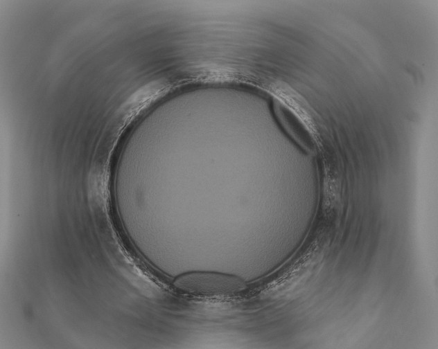 X0000112000485200908241436