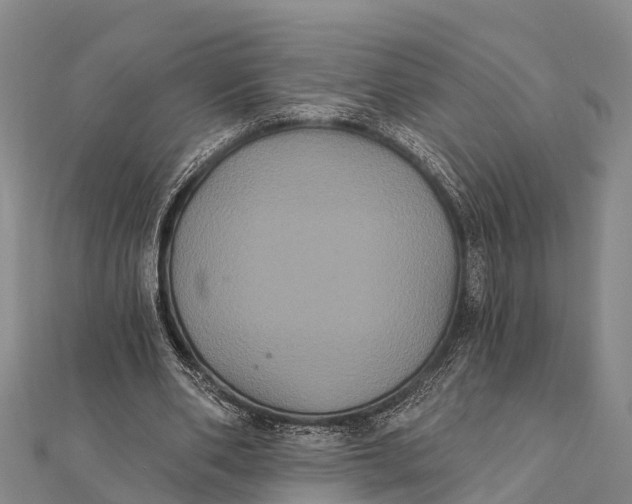 X0000112000486200908241436