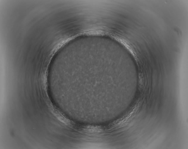 X0000112000487200908241436