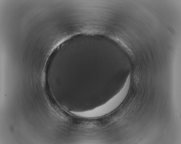 X0000112000488200908241436