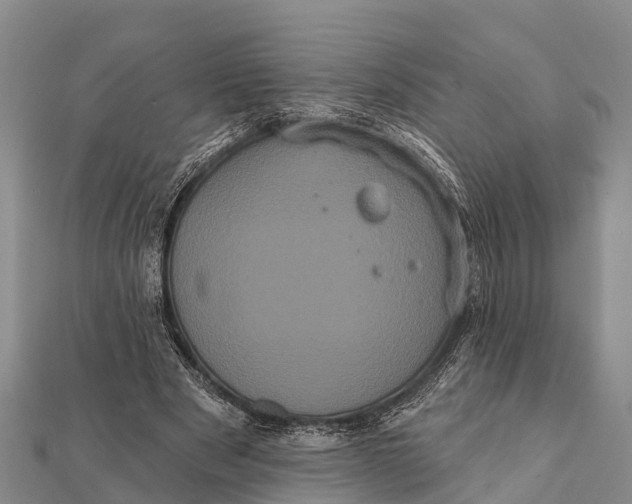 X0000112000489200908241436