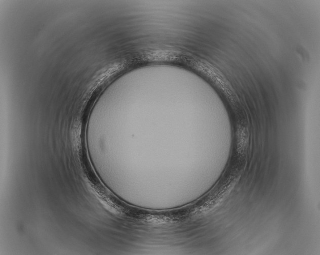 X0000112000490200908241436