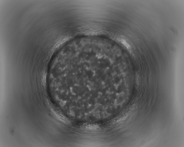 X0000112000491200908241436