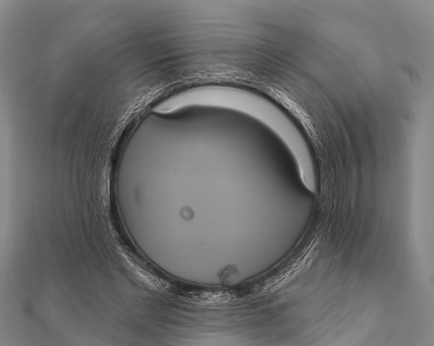 X0000112000493200908241436