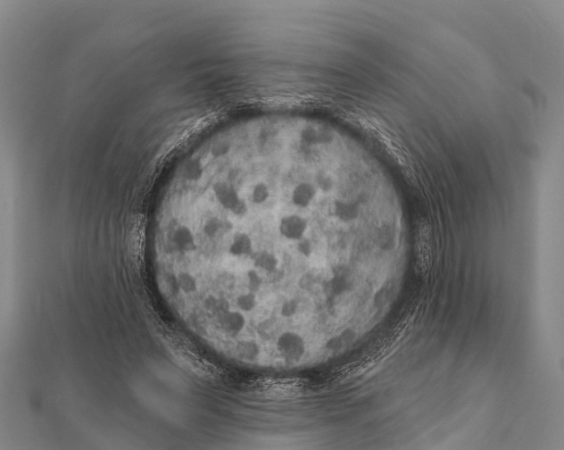 X0000112000495200908241436