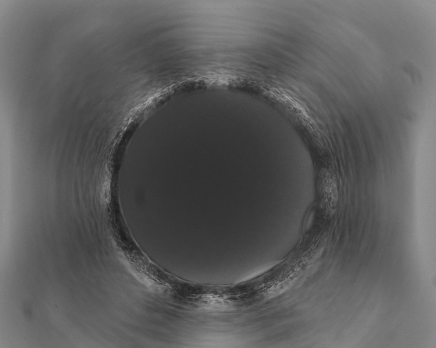 X0000112000496200908241436