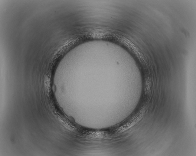 X0000112000497200908241436