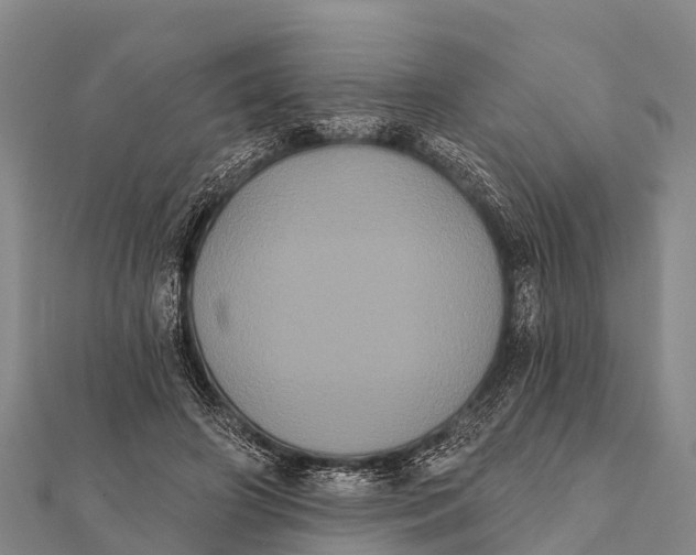 X0000112000498200908241436