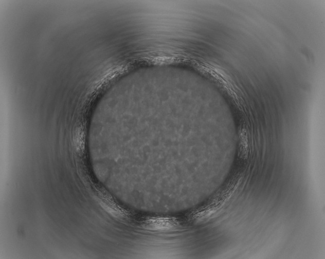 X0000112000499200908241436