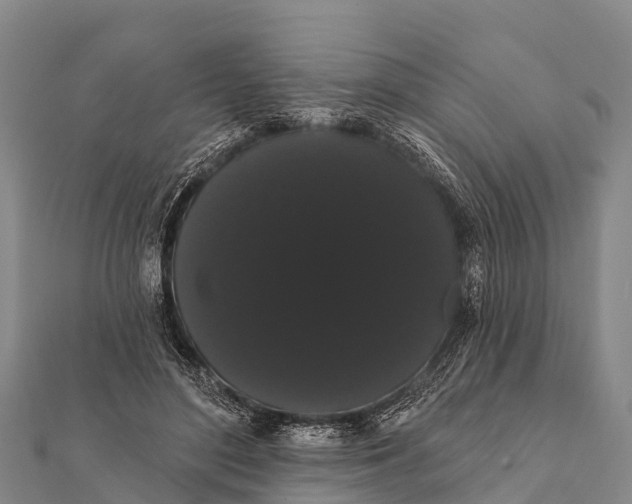 X0000112000500200908241436