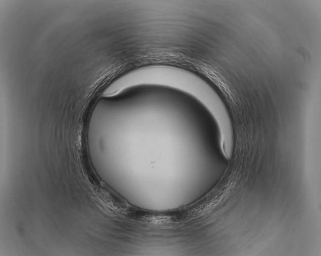 X0000112000501200908241436