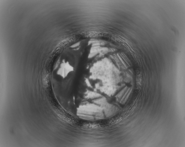 X0000112000503200908241436