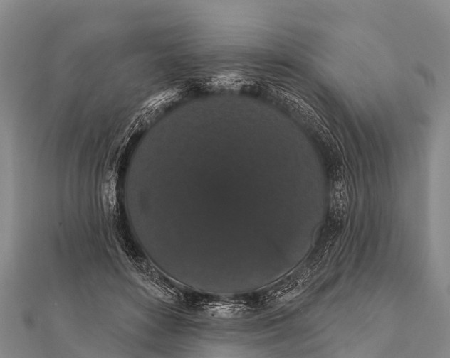 X0000112000504200908241436