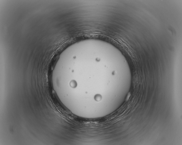 X0000112000508200908241436