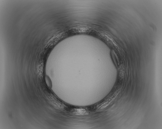 X0000112000509200908241436