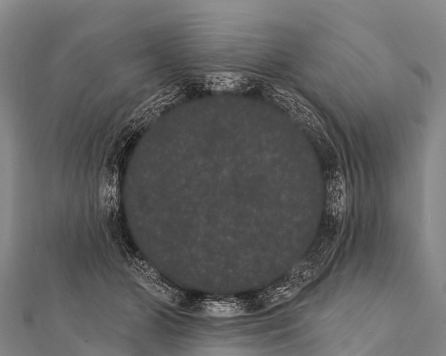 X0000112000510200908241436