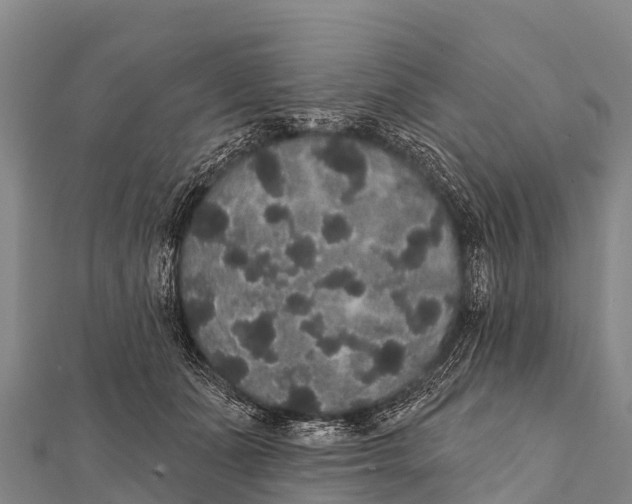 X0000112000511200908241436