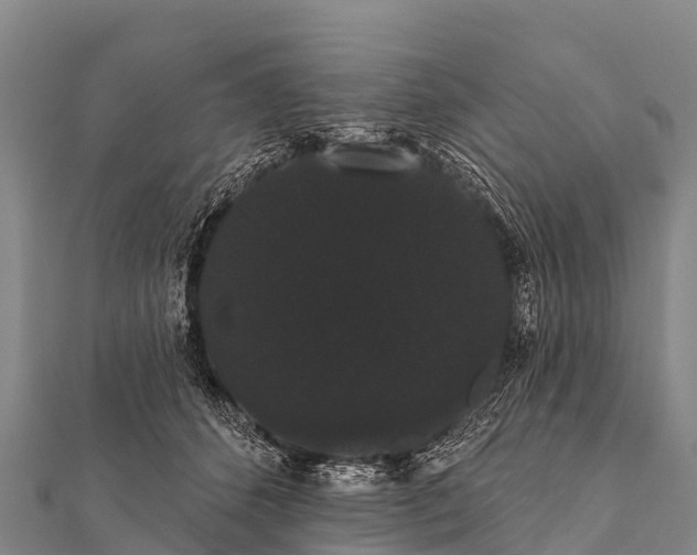 X0000112000512200908241436