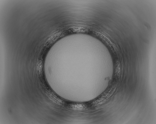 X0000112000513200908241436