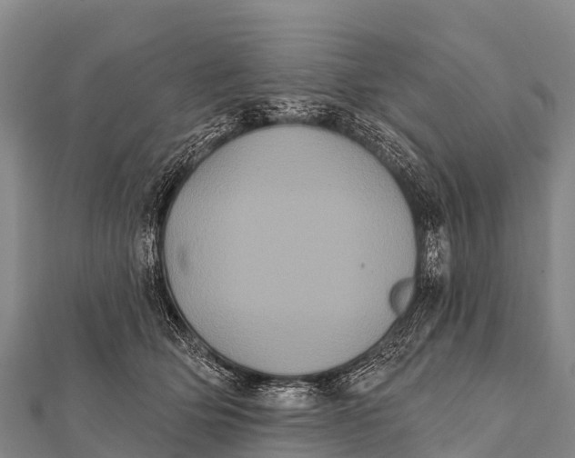 X0000112000514200908241436