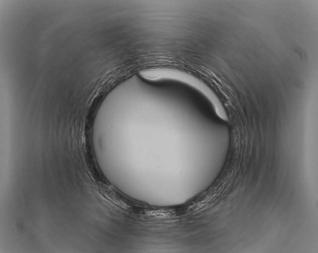 X0000112000516200908241436