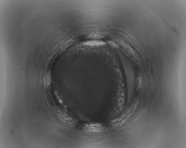 X0000112000517200908241436