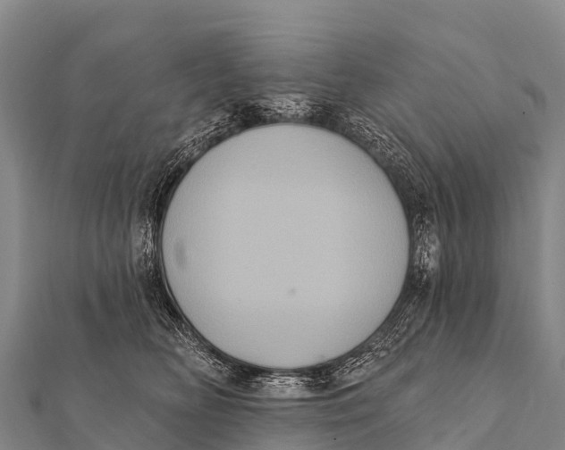 X0000112000518200908241436