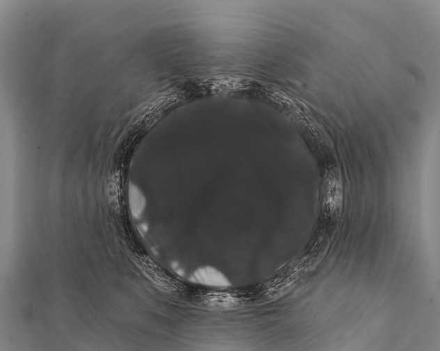 X0000112000519200908241436