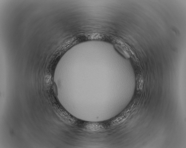 X0000112000521200908241436