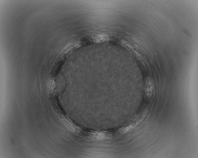 X0000112000523200908241435