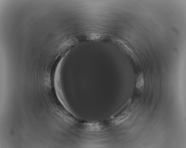 X0000112000524200908241435