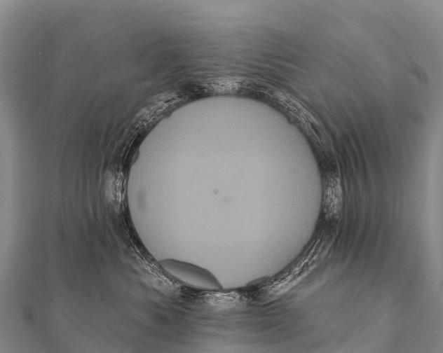 X0000112000525200908241435