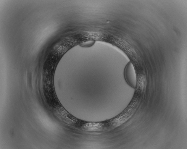 X0000112000526200908241435