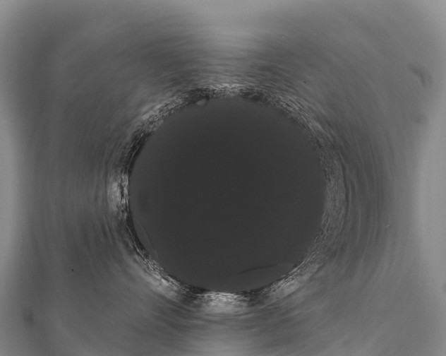 X0000112000528200908241435