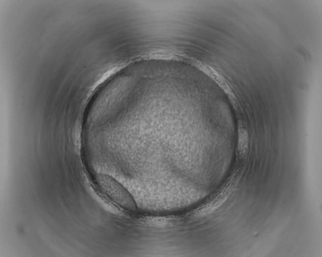 X0000112000530200908241435