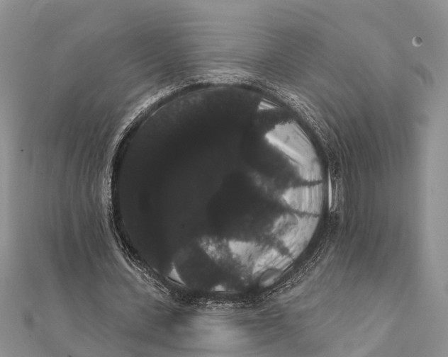 X0000112000531200908241435