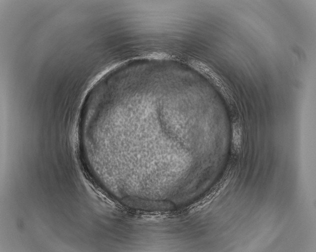 X0000112000532200908241435