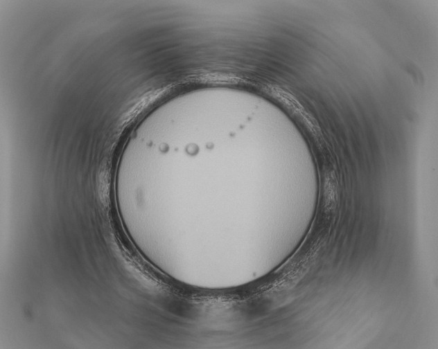 X0000112000533200908241435